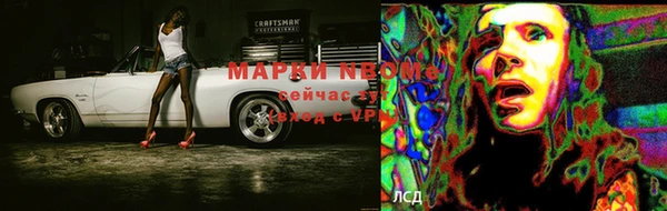 бошки Алексин