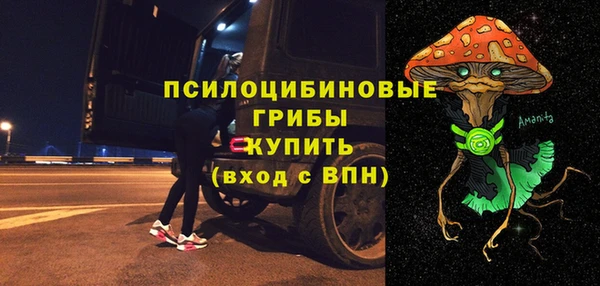 бошки Алексин