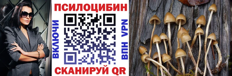 Галлюциногенные грибы Psilocybine cubensis  где найти наркотики  Заводоуковск 